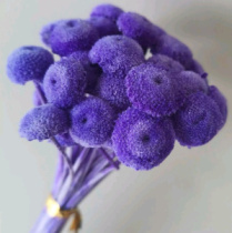 Сухоцвет Ботао 40шт/упак фиолетовый