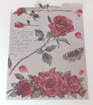 Упаковочная бумага "Винтажные розы", 35см х 47см, 10 листов/упак., принт 3 Упаковочная бумага "Винтажные розы", 35см х 47см, 10 листов/упак., принт 3