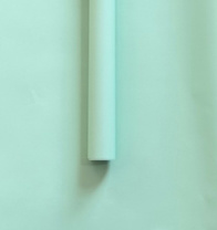 Пленка флористическая "Самая нужная" 55мкр 57см*57см 20 листов салатовый