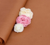 Бумага тишью Светло-коричневый "Италия" 50*76см 24листа 31978-11 Бумага тишью Светло-коричневый "Италия" 50*76см 24листа 31978-11