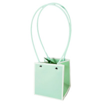 Пакет матовый "Мастхэв с белой окантовкой" 12,5*11,5*12,5см мятный