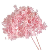 Сухоцвет Гортензия (1 шт. в букете) розовый