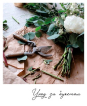 Фото-карточка "Уход за букетом"