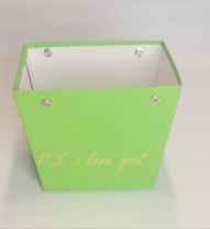 Трапеция усеченная 120*110*70 с золот. тиснением "P.s. I love you" салатовый