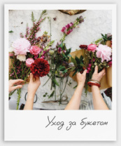 Фото-карточка "Уход за букетом"