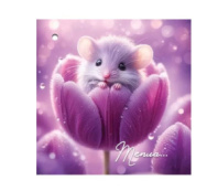 Бирка для подарка "Тепла..." 2902077 (20 шт) Бирка для подарка "Тепла..." 2902077 (20 шт)