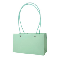 Пакет матовый "Мастхэв" прямоугольный 22*10*13см мятный Пакет матовый "Мастхэв" прямоугольный 22*10*13см мятный