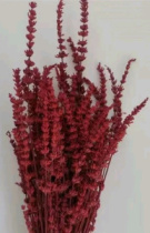 Сухоцвет Лаванда (70гр) бордовый