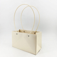 Пакет подарочный "Мастхэв" прямоугольный, 22х10х13 см, шампань