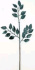 Ветка  декоративная с глиттером 57 см 
