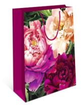 Пакет подарочный 0193.339 Пакет подарочный 0193.339