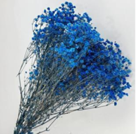 Сухоцвет "Гипсофила", длина 70-80 см, 120 гр/упак., голубой.