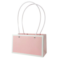 Пакет матовый "Мастхэв стайл" прямоугольный 22*10*13см пудровый/белый