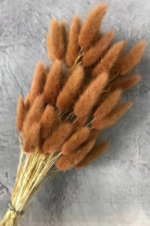 Сухоцвет Лагурус (60шт/пач) кофейный