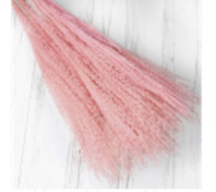 Сухоцвет Пампасная трава (10шт) розовый