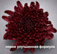 Краска флористическая №18 Темно- красный 0,3 л.