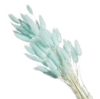 Сухоцвет Лагурус (60шт/пач) тиффани