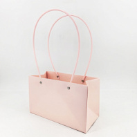 Пакет подарочный "Мастхэв"  прямоугольный, 22х10х13 см, бледно-розовый