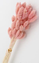 Сухоцвет "Фаларис", длина 60-70 см, 50 шт., персиково-розовый