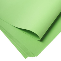 Фоамиран 60см х70см, (10 листов в уп.), 1,2 мм цв. зеленый (1054) Фоамиран 60см х70см, (10 листов в уп.), 1,2 мм цв. зеленый (1054)