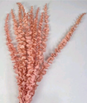 Сухоцвет Эвкалипт Бэби Блю длина 60-65 см 10 шт/упак выбеленно-розовый