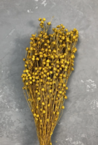 Сухоцвет Лен (100гр) лимонный 