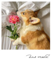 Фото-карточка "Для тебя!" Фото-карточка "Для тебя!"