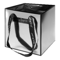 Пластиковая сумка "Mirror" 18*18*18 см цв. Серебро Пластиковая сумка "Mirror" 18*18*18 см цв. Серебро