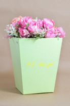 Трапеция с дном большая 225*180*180 с золот. тиснением "P.s. I love you" салатовый