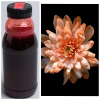 Краска флористическая №03 Персиковый 0,3 л.