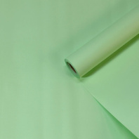 Пленка матовая однотонная двухсторонняя  Светло-Салатовый 48см*10м±5% 65мкм