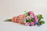 Трапеция Переноска "Венеция" красная