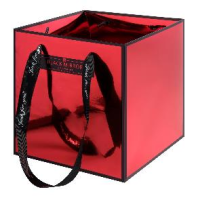 Пластиковая сумка "Mirror" 18*18*18 см цв. Красный Пластиковая сумка "Mirror" 18*18*18 см цв. Красный