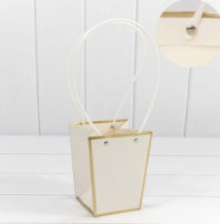 Пакет подарочный "Ваза для цветов" 12,5*12,8 с золотой рамкой белый 