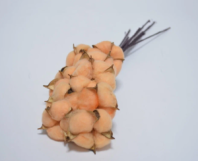 Сухоцвет Хлопок (10шт в 1 букете) 15см Персик