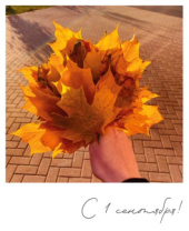 Фото-карточка "С 1 сентября!" Фото-карточка "С 1 сентября!"