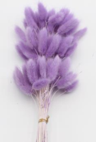 Сухоцвет Лагурус (60шт/пач) насыщенно-сиреневый