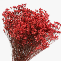 Сухоцвет Каспия лавандовая длина 60-70см (3-5)шт/упак красный