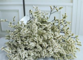 Сухоцвет Каспия лавандовая длина 60-70см (3-5)шт/упак белый