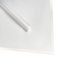 Набор пленки "Геометрия" 20листов, 60см*60см белый Набор пленки "Геометрия" 20листов, 60см*60см белый