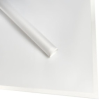 Набор пленки "Геометрия" 20листов, 60см*60см белый