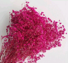 Сухоцвет Гипсофила 70-80 см 120 гр фуксия